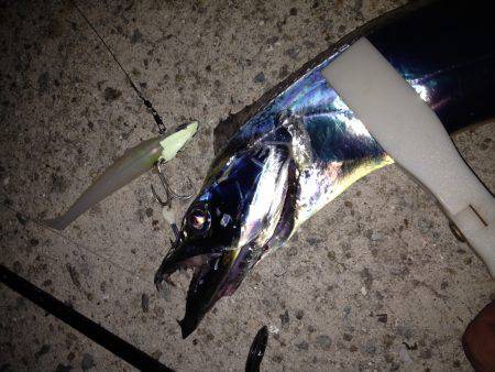 貝塚人工島でタチウオワインド　Ｆ３の８２ｃ…